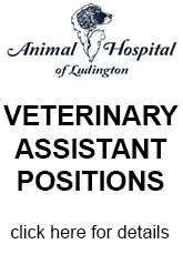 Veterinary Hospital of Ludington